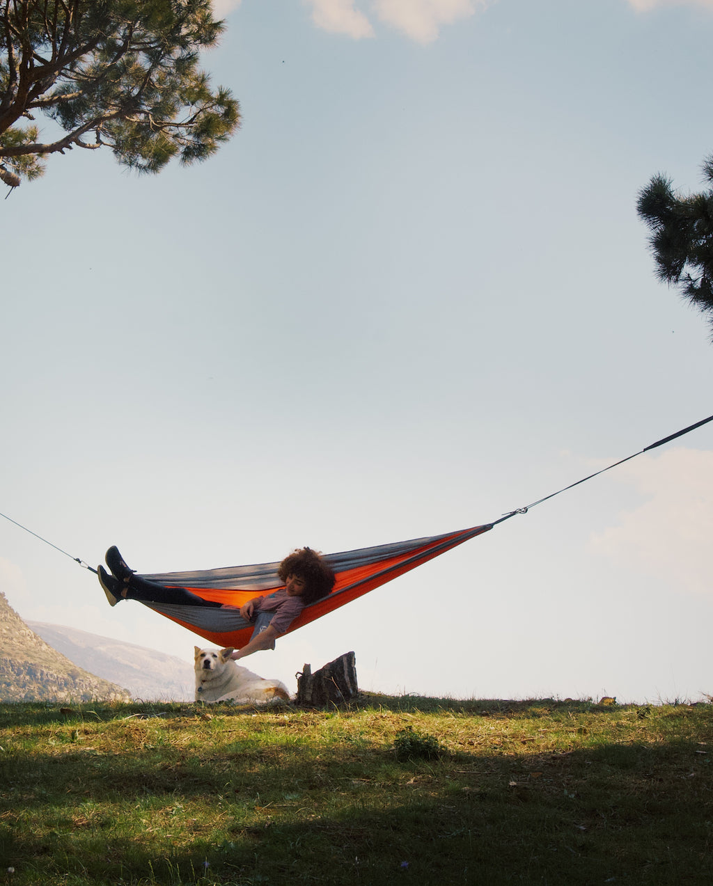 Fox Hammock