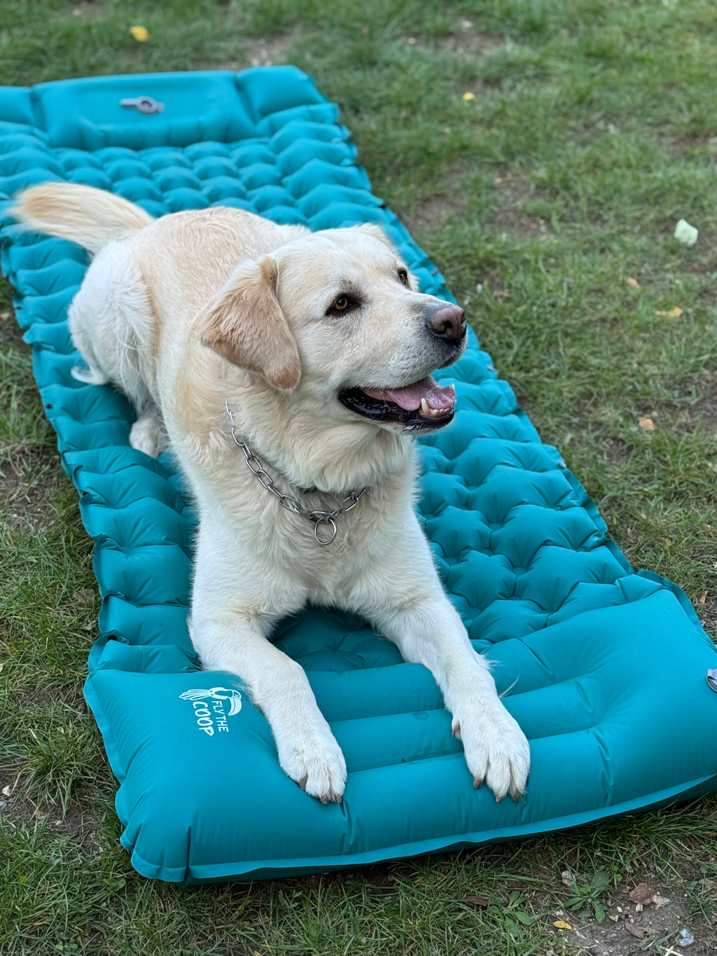 The Cloud - Versatile Inflatable Mattress