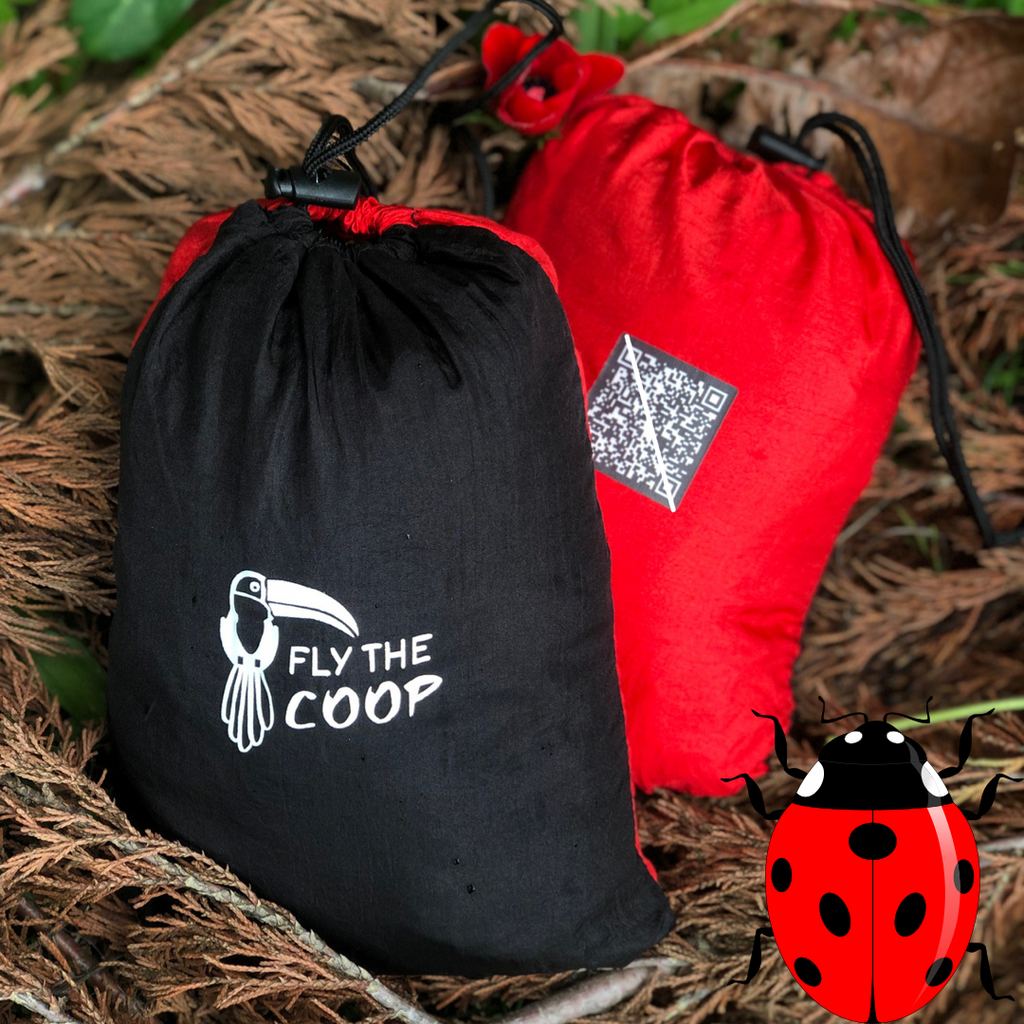 Ladybug Hammock