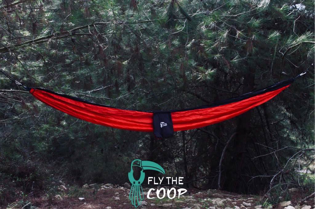 Ladybug Hammock