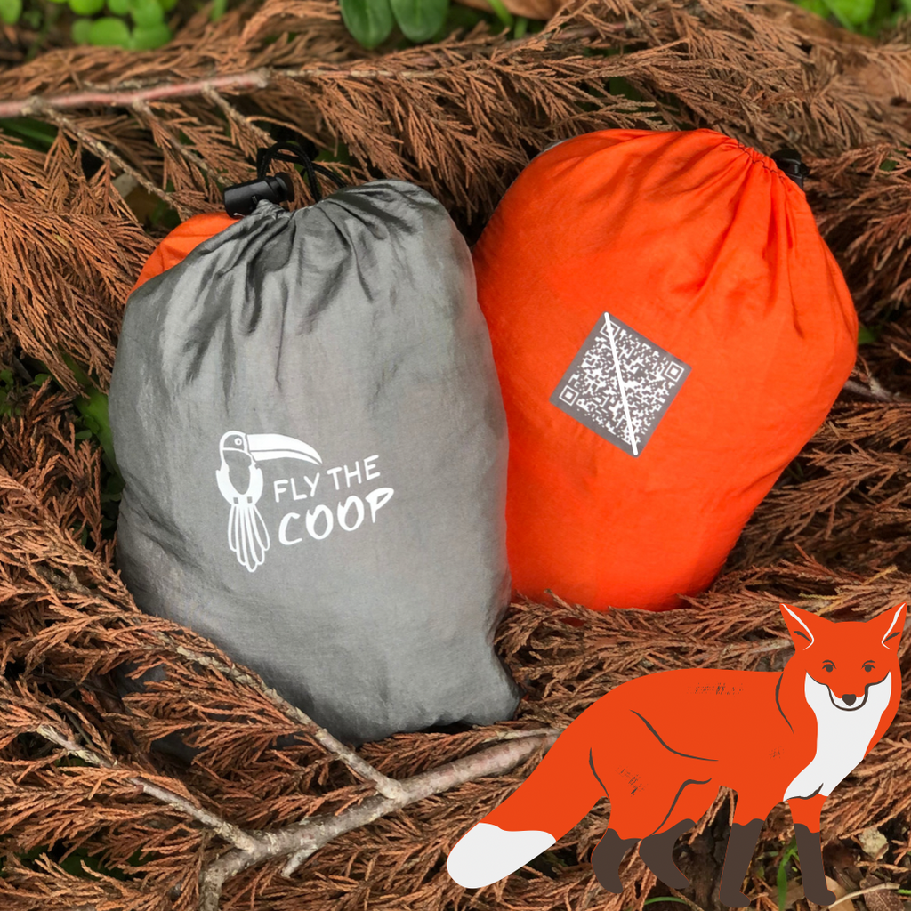Fox Hammock