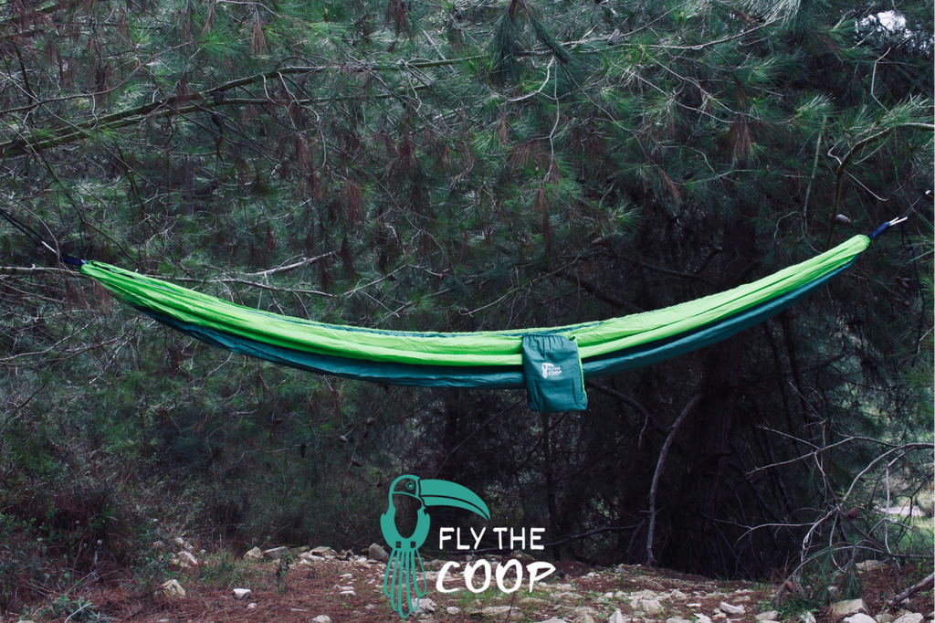 Frog Hammock